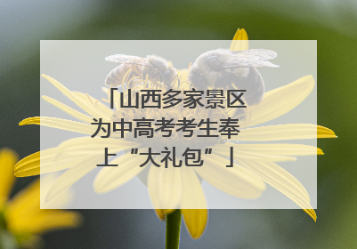 山西多家景区为中高考考生奉上“大礼包”