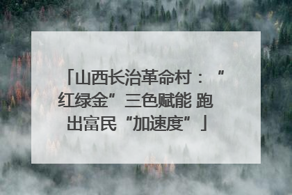 山西长治革命村：“红绿金”三色赋能 跑出富民“加速度”