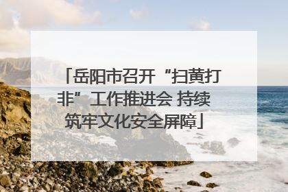 岳阳市召开“扫黄打非”工作推进会 持续筑牢文化安全屏障