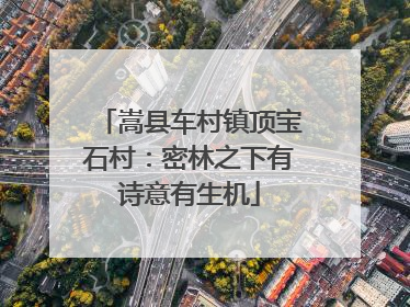 嵩县车村镇顶宝石村：密林之下有诗意有生机