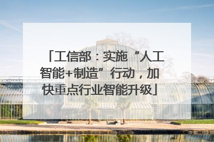 工信部：实施“人工智能+制造”行动，加快重点行业智能升级