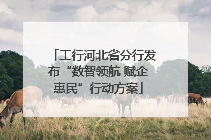 工行河北省分行发布“数智领航 赋企惠民”行动方案