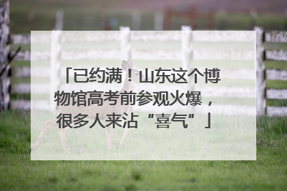 已约满！山东这个博物馆高考前参观火爆，很多人来沾“喜气”