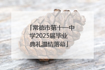 常德市第十一中学2025届毕业典礼温情落幕