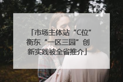 市场主体站“C位” 衡东“一区三园”创新实践被全省推介