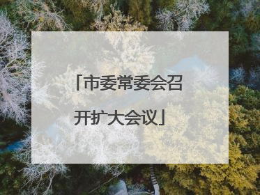 市委常委会召开扩大会议