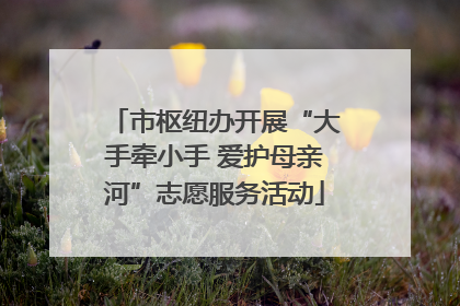 市枢纽办开展“大手牵小手 爱护母亲河”志愿服务活动