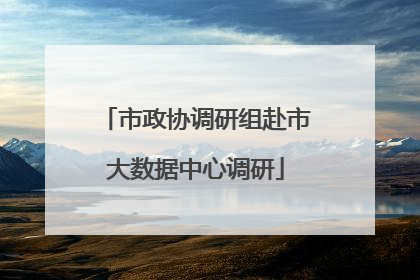 市政协调研组赴市大数据中心调研