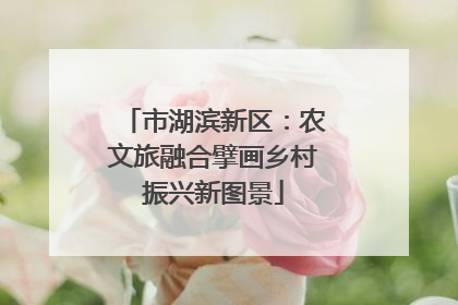 市湖滨新区：农文旅融合擘画乡村振兴新图景