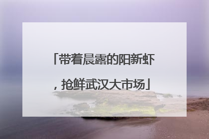 带着晨露的阳新虾，抢鲜武汉大市场