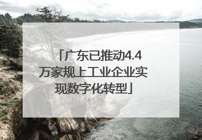 广东已推动4.4万家规上工业企业实现数字化转型