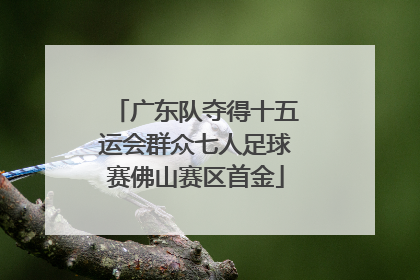 广东队夺得十五运会群众七人足球赛佛山赛区首金