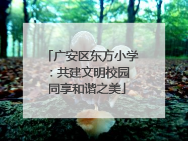 广安区东方小学：共建文明校园 同享和谐之美