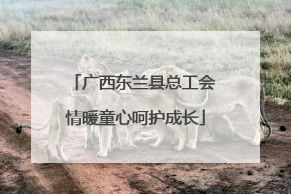广西东兰县总工会情暖童心呵护成长