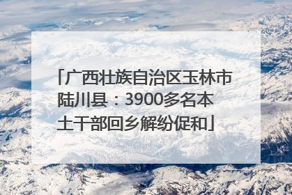 广西壮族自治区玉林市陆川县：3900多名本土干部回乡解纷促和