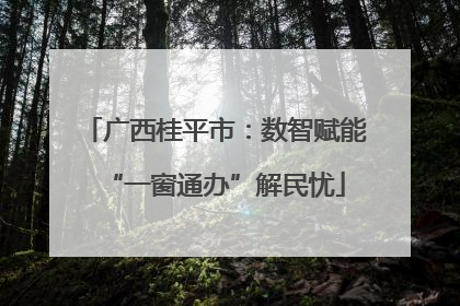 广西桂平市：数智赋能“一窗通办”解民忧