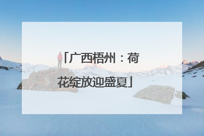 广西梧州：荷花绽放迎盛夏