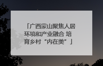 广西蒙山聚焦人居环境和产业融合 培育乡村“内在美”