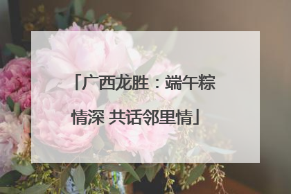 广西龙胜：端午粽情深 共话邻里情