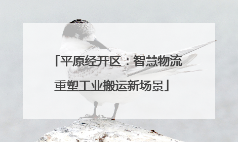 平原经开区：智慧物流重塑工业搬运新场景