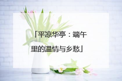 平凉华亭：端午里的温情与乡愁