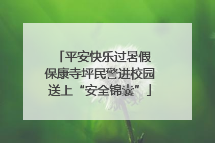 平安快乐过暑假 保康寺坪民警进校园送上“安全锦囊”