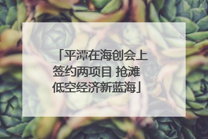 平潭在海创会上签约两项目 抢滩低空经济新蓝海