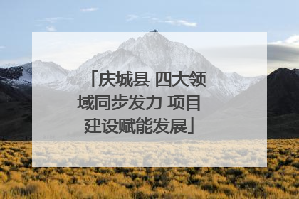 庆城县 四大领域同步发力 项目建设赋能发展