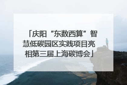 庆阳“东数西算”智慧低碳园区实践项目亮相第三届上海碳博会