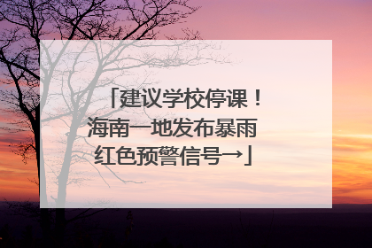 建议学校停课！海南一地发布暴雨红色预警信号→