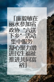 廉毅敏在丽水参加省政协“六送下乡”活动集中服务 凝心聚力增进民生福祉推进共同富裕