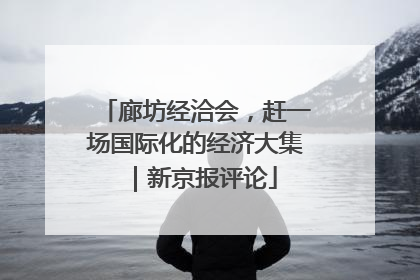 廊坊经洽会，赶一场国际化的经济大集｜新京报评论