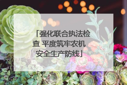 强化联合执法检查 平度筑牢农机安全生产防线