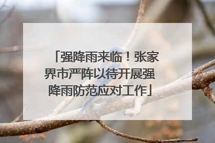 强降雨来临！张家界市严阵以待开展强降雨防范应对工作
