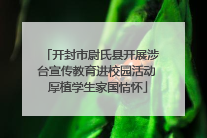 开封市尉氏县开展涉台宣传教育进校园活动 厚植学生家国情怀