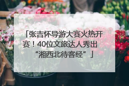张吉怀导游大赛火热开赛！40位文旅达人秀出“湘西北待客经”