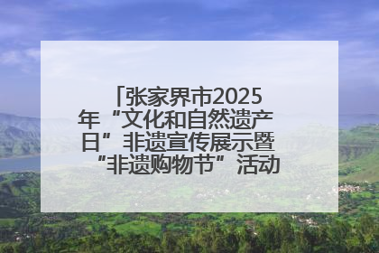 张家界市2025年“文化和自然遗产日”非遗宣传展示暨“非遗购物节”活动在慈利县盛大启幕