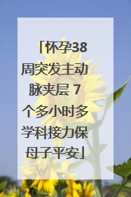 怀孕38周突发主动脉夹层 7个多小时多学科接力保母子平安