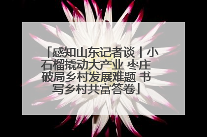 感知山东记者谈丨小石榴撬动大产业 枣庄破局乡村发展难题 书写乡村共富答卷