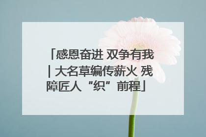 感恩奋进 双争有我｜大名草编传薪火 残障匠人“织”前程