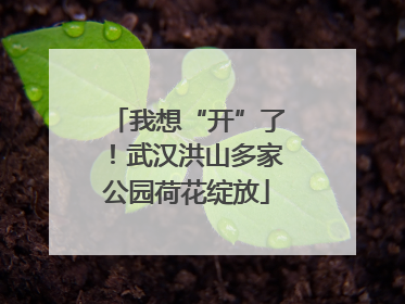 我想“开”了！武汉洪山多家公园荷花绽放