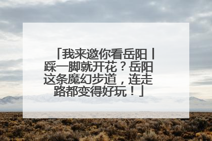 我来邀你看岳阳丨踩一脚就开花？岳阳这条魔幻步道，连走路都变得好玩！