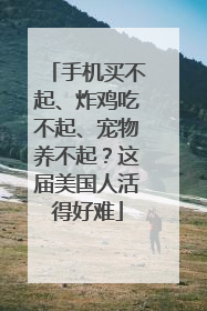手机买不起、炸鸡吃不起、宠物养不起？这届美国人活得好难
