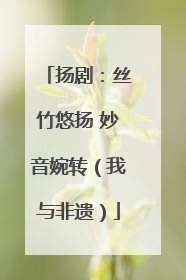 扬剧：丝竹悠扬 妙音婉转（我与非遗）
