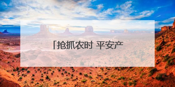抢抓农时 平安产险河南分公司“抗旱抢收”保夏粮归仓