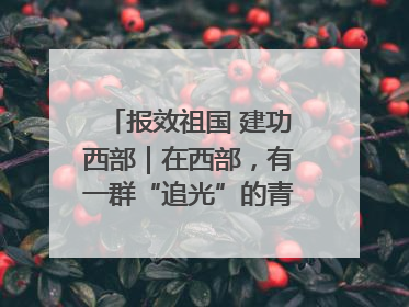 报效祖国 建功西部｜在西部，有一群“追光”的青年科学家