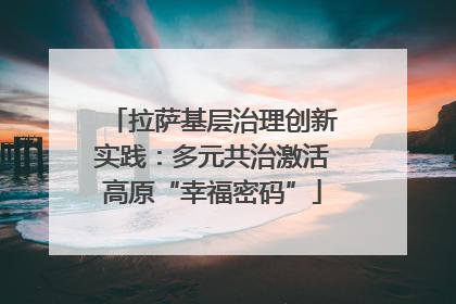 拉萨基层治理创新实践：多元共治激活高原“幸福密码”