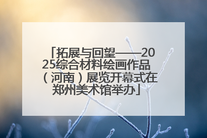 拓展与回望——2025综合材料绘画作品（河南）展览开幕式在郑州美术馆举办