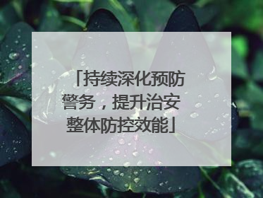 持续深化预防警务，提升治安整体防控效能