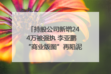 持股公司新增244万被强执 李亚鹏“商业版图”再陷泥潭？｜科技观察